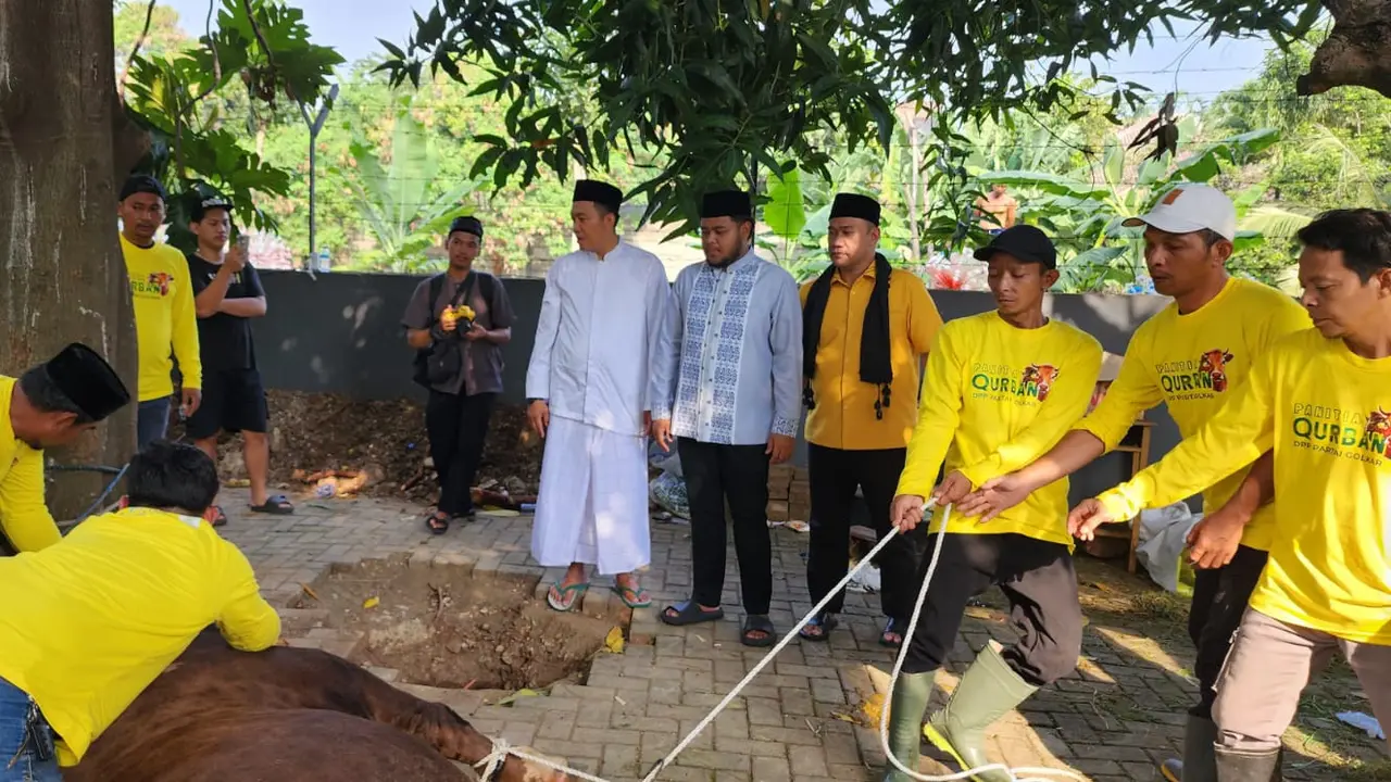 Dewan Kemakmuran Masjid (DKM) Masjid Ainul Hikmah DPP Partai Golkar, Grogol, Jakarta Barat menyambut Hari Raya Iduladha 1446 Hijriah dengan menyembelih 61 ekor sapi dan 4 ekor kambing. (Istimewa)