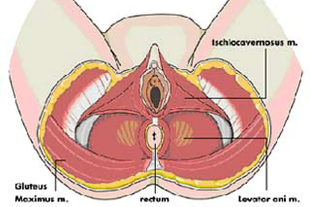 090611bkegel.jpg