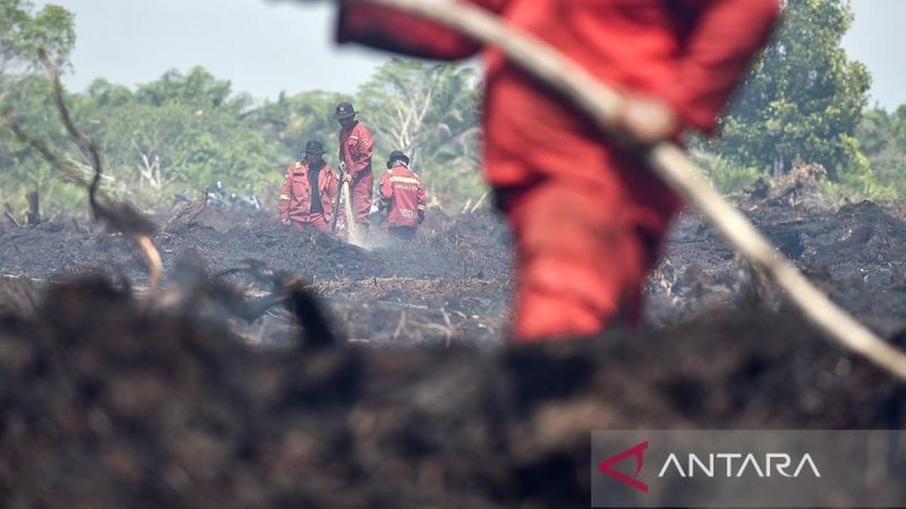 Petugas Berjibaku Padamkan Kebakaran Lahan Jambi, 5 Hektare Terdampak