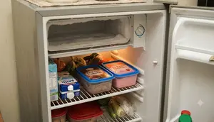 10 Cara Menyimpan Ice Cream di Kulkas 1 Pintu agar Tidak Cepat Meleleh
