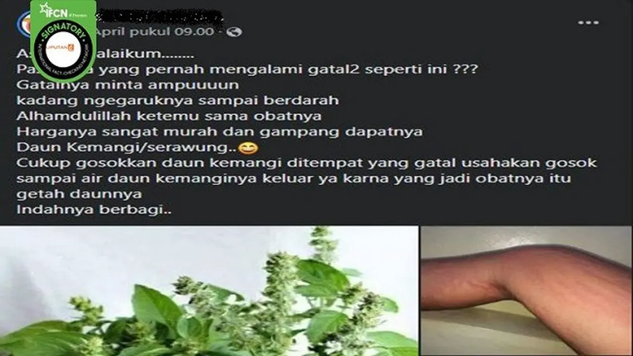 Gambar Tangkapan Layar Klaim Palsu Daun Kemangi Bisa Mengobati Gatal pada Kulit (sumber: Facebook).