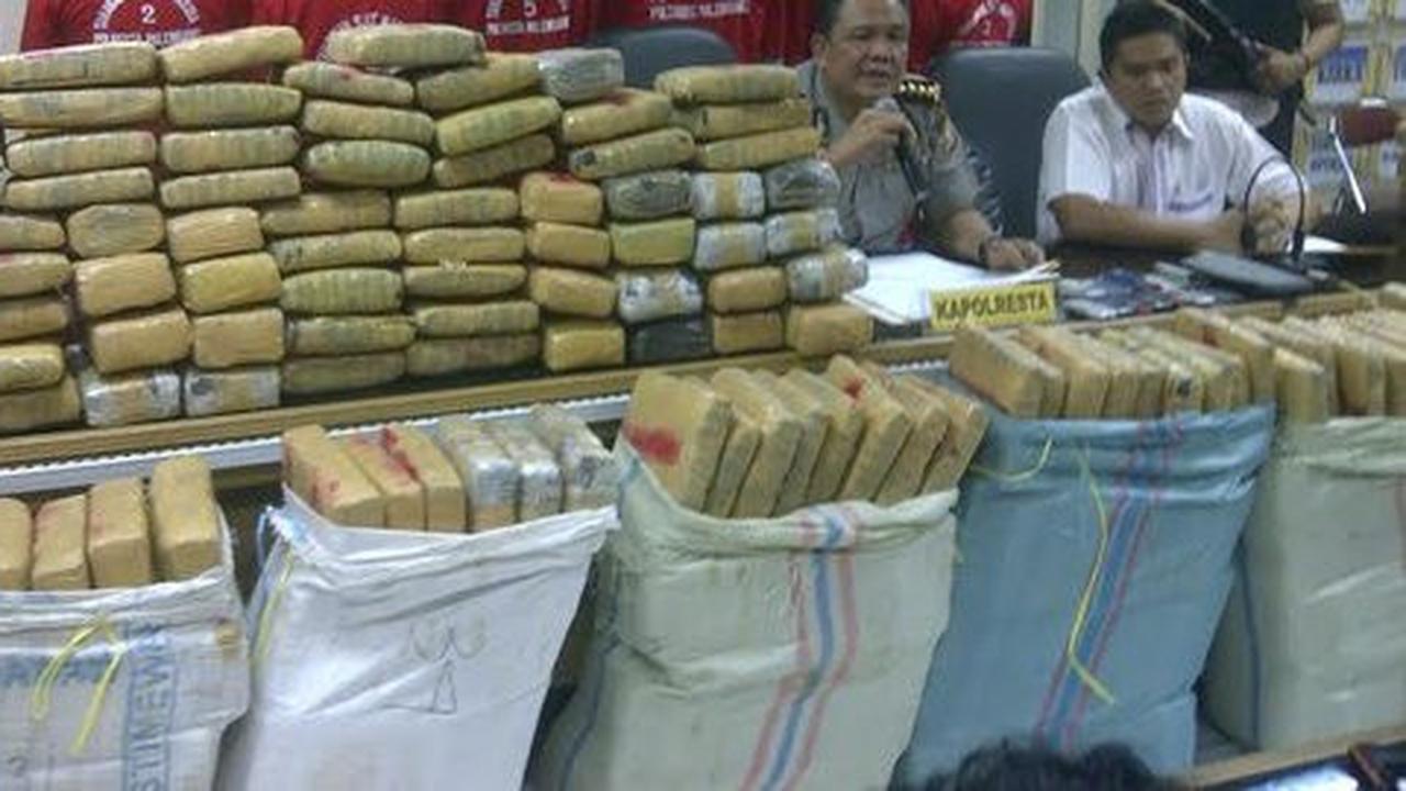 Polisi gagalkan penyelundupan 623 kg ganja dalam truk di Pidie