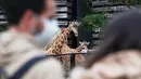 Pengunjung melihat jerapah di Taman Zoologi Paris, Bois de Vincennes, Paris, Prancis, Selasa (9/6/2020). Taman Zoologi Paris kembali dibuka setelah hampir tiga bulan tutup saat Prancis melonggarkan lockdown untuk mencegah penyebaran COVID-19. (Xinhua/Gao Jing)