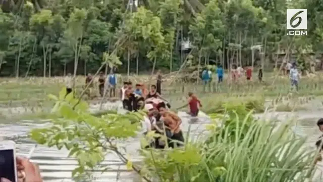 VIDEO: Nahas, Satu Keluarga Tewas Tersengat Listrik di Sawah