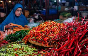 Aneka jenis cabai dijual di Pasar Kebayoran, Jakarta, Selasa (7/3/2023). Harga cabai rawit merah di DKI Jakarta terpantau naik sudah menembus Rp 100 ribu per kilogram. (Liputan6.com/Angga Yuniar)
