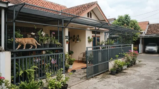 9 Desain Pagar Pekarangan yang Aman untuk Kucing agar Tidak Mudah Keluar