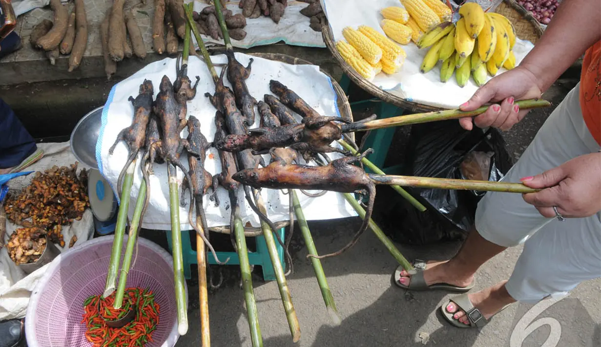  Menurut pedagang tikus bakar, tikus yang dibakar bukanlah tikus got. Melainkan tikus ekor putih yang hidupnya di pohon. Harganya Rp.20 ribu/ekor, Manado, Sabtu (10/5/2014) (Liputan6.com/Herman Zakharia).