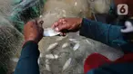 Nelayan mengumpulkan ikan hasil tangkapan di Pelabuhan Cilincing, Jakarta, Selasa (1/3/2022). Sejumlah komoditas ikan laut di pasaran mengalami kenaikan harga hingga 5 persen disebabkan cuaca buruk di laut dalam sepekan terakhir sehingga nelayan berhenti melaut sementara. (merdeka.com/Imam Buhori)