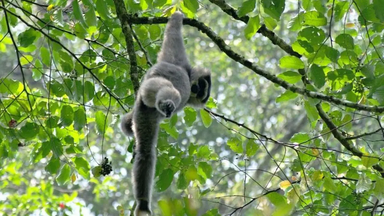 Pariwisata Bogor