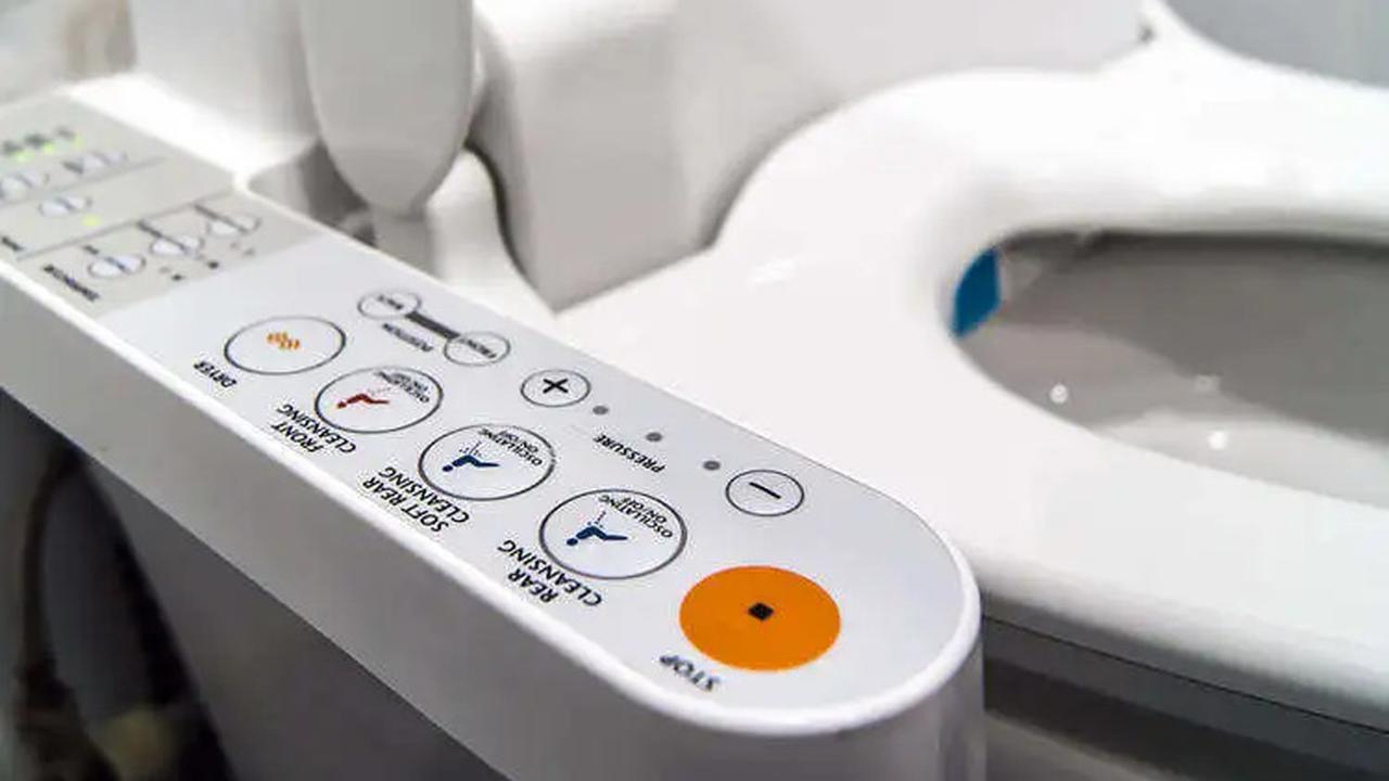 Toilet Unik