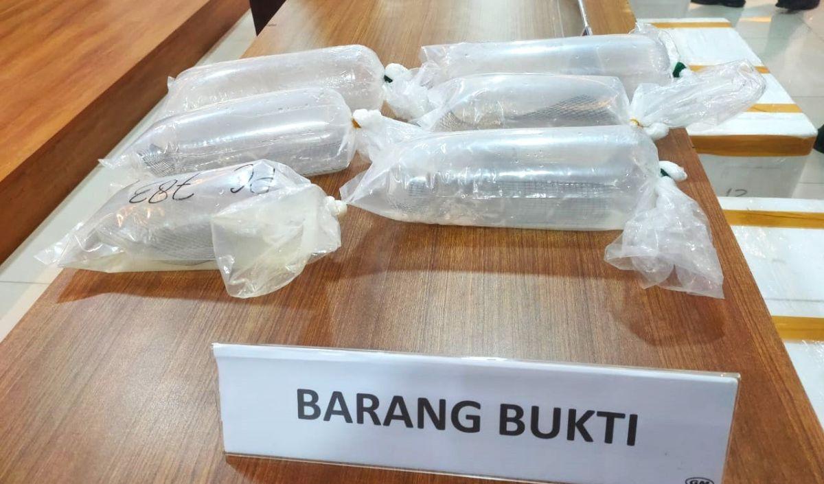Penegahan upaya perdagangan ilegal itu berawal dari informasi masyarakat atas adanya pengiriman barang melalui terminal kargo yang diketahui berisikan benih bening lobster dalam lima koper.