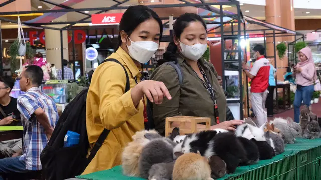 Belajar Ragam Hewan Sambil Seru-seruan Saat Liburan Sekolah di Planimals Exhibition