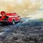 Pemadaman kebakaran lahan hutan di Taman Nasional Rawa Aopa Bombana.(Liputan6.com/Ahmad Akbar Fua)