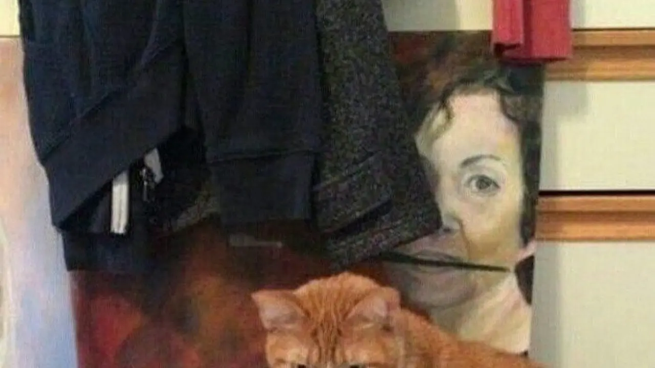 Foto ini bisa menipu mata