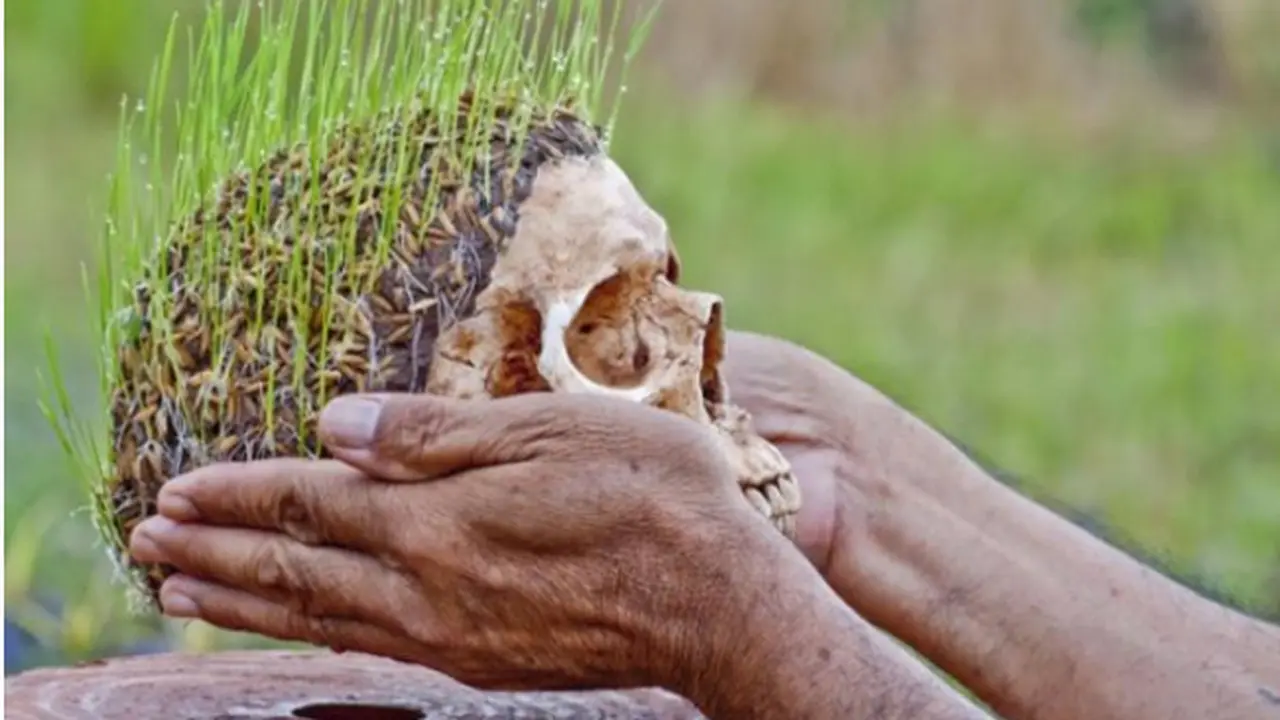 Sadis, Pria India Ini Dipenggal Untuk Ritual Pemanggilan Hujan