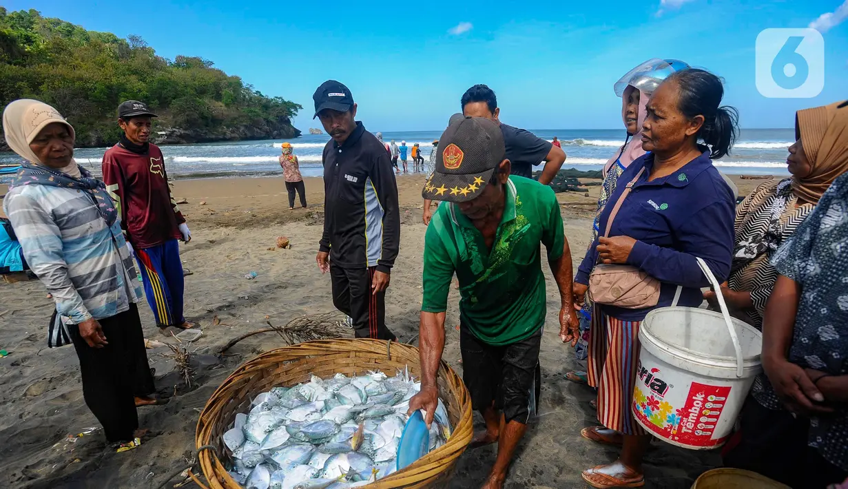 Dari setiap jaring didapat lebih dari 500 kg dengan harga jual Rp 25 ribu/kg. (merdeka.com/Arie Basuki)