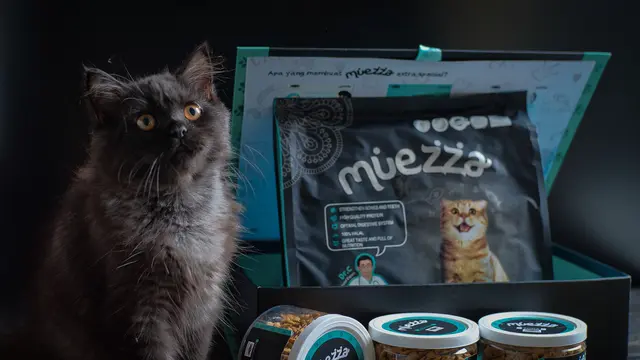 Ilustrasi kucing