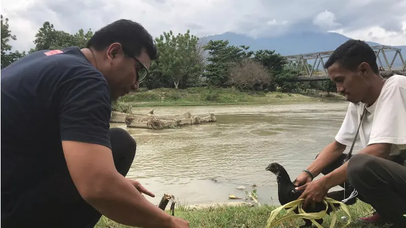 Buaya berkalung ban di Palu