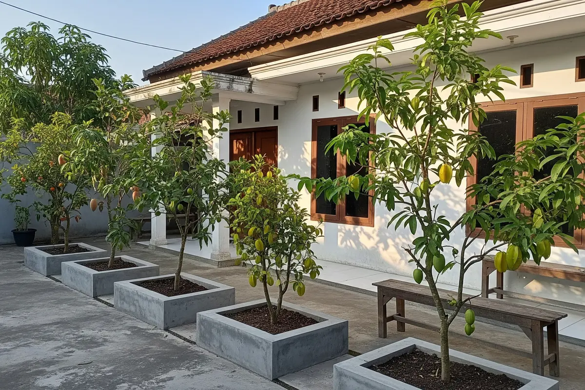 Pohon Buah yang Cocok Ditanam dalam Planter Box Beton