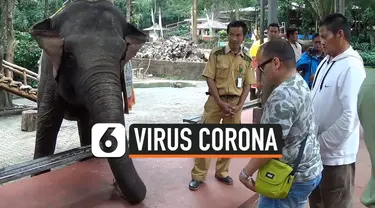 wisata corona thumbnail