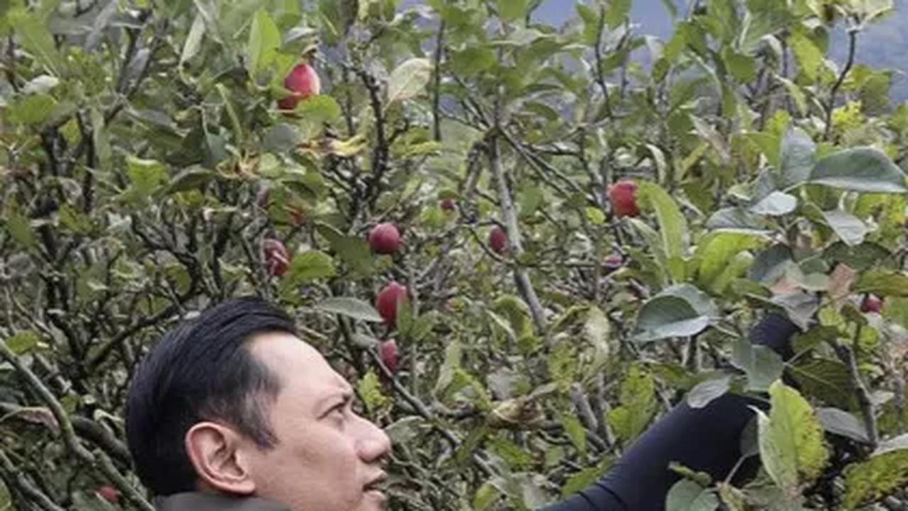 Anggukan Jokowi Kode Keras Demokrat Masuk Kabinet, AHY Unggah Foto soal Pertanian