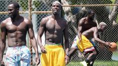 Paul Pogba saat ini ramai digosipkan akan hijrah ke klub asal Inggris, Manchester United dengan nilai transfer yang wow.