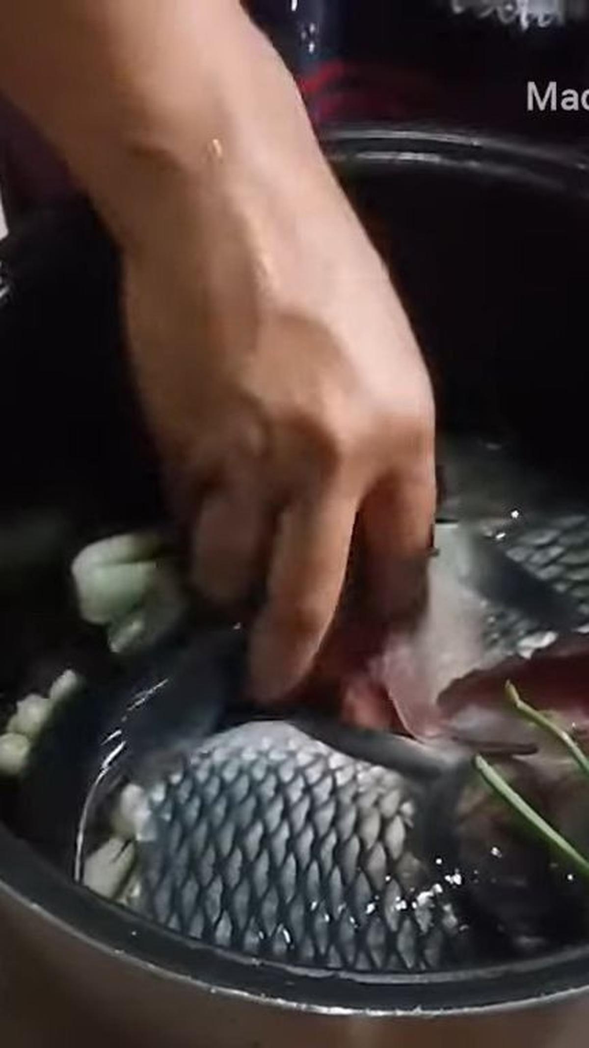 Masukkan Ikan Mas
