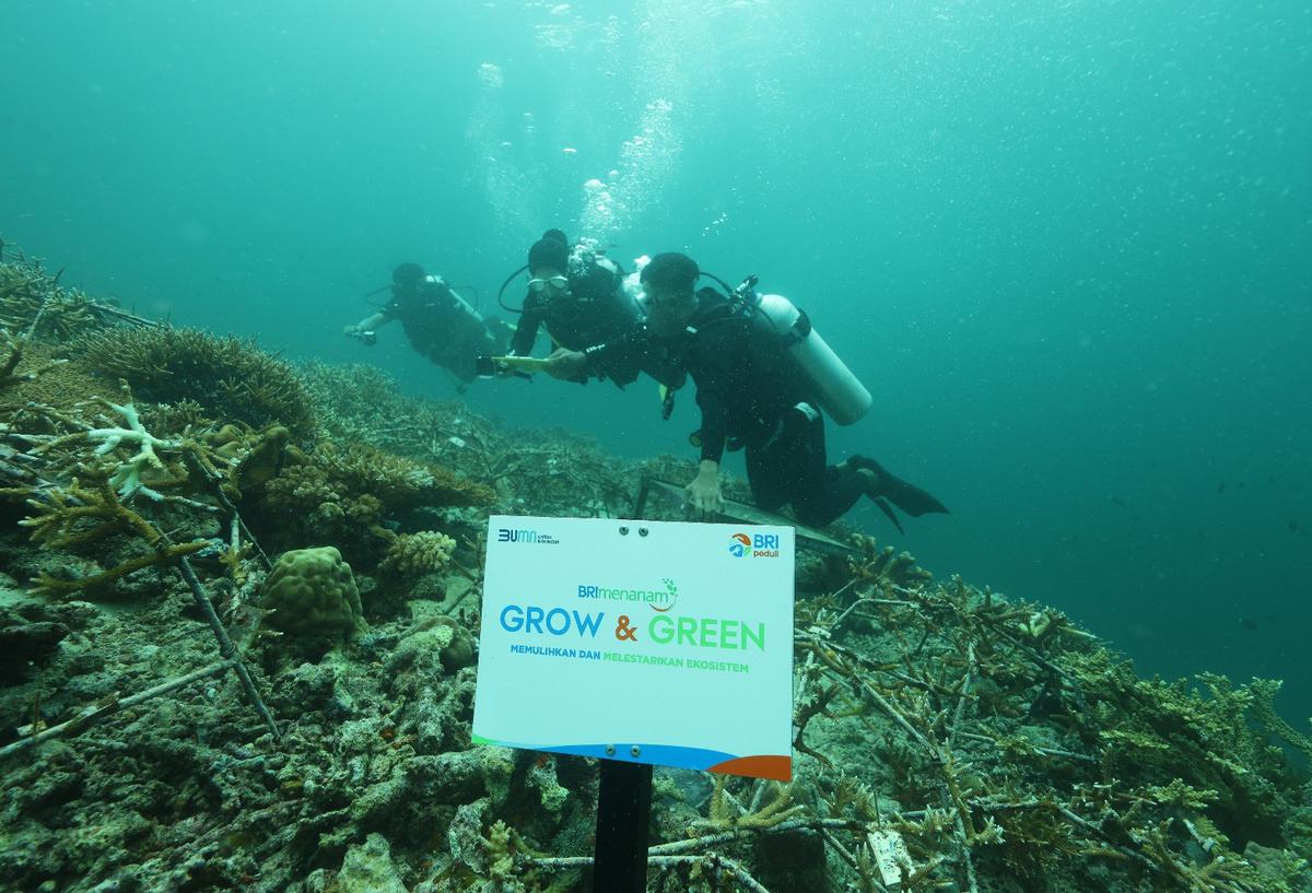 BRI Menanam Grow & Green di Pulau Maratua, Kabupaten Berau, Provinsi Kalimantan Timur