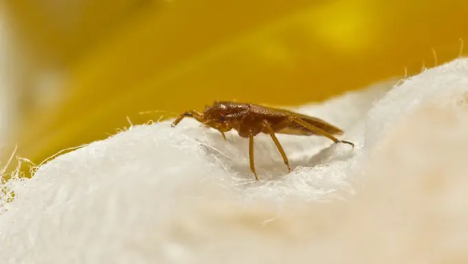 Foto: copyright thinkstockphotos.com