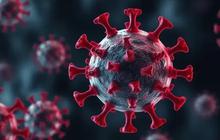 HMPV Bukan Virus Baru, Ahli Jelaskan Perbedaannya dengan Covid-19