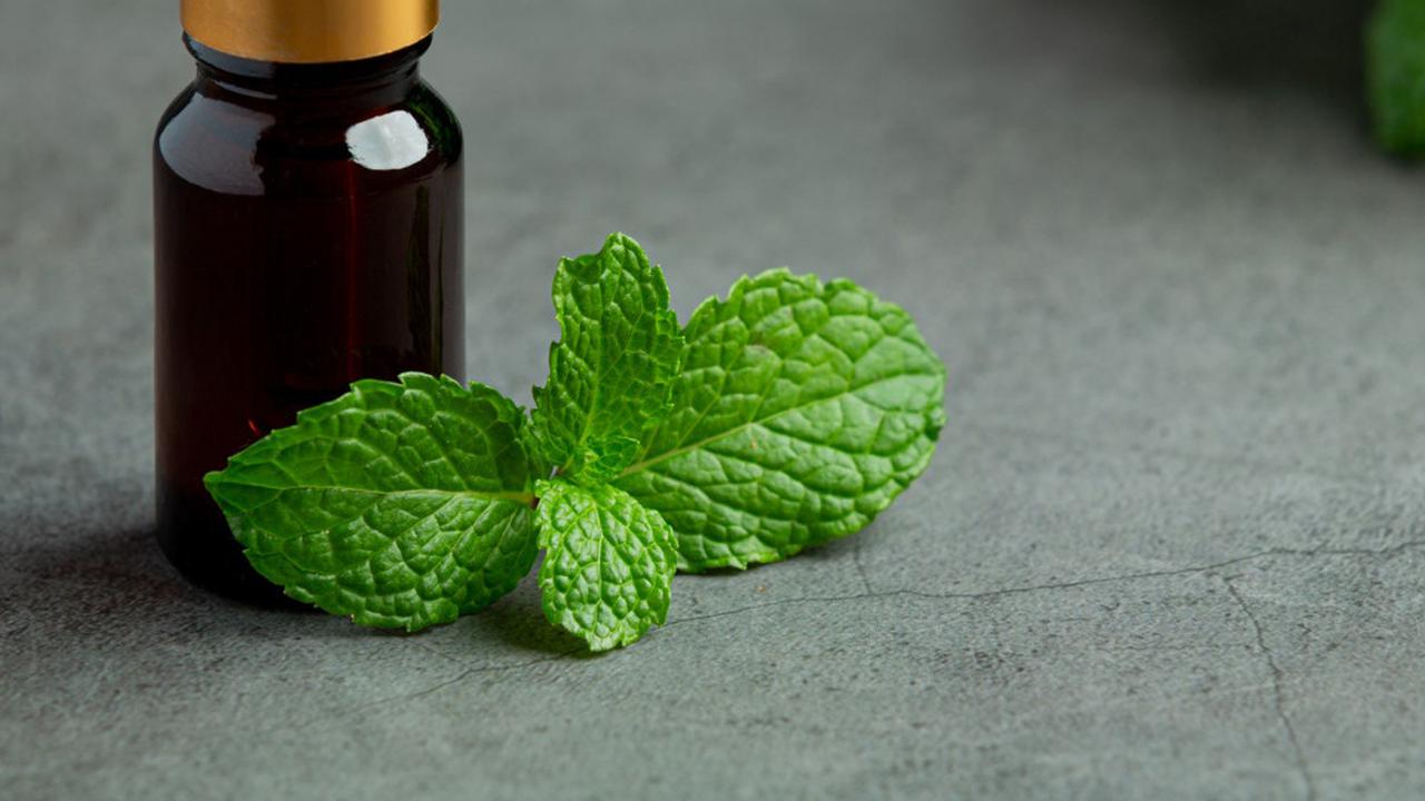 Ilustrasi Minyak Esensial Aroma Peppermint (©Freepik)