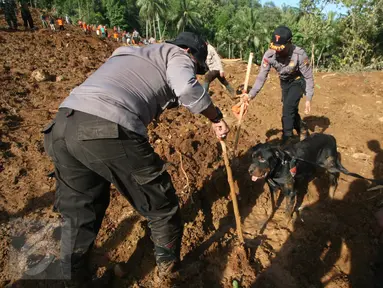 Personel kepolisan dibantu anjing pelacak melakukan pencarian korban longsor di Dusun Caok, Desa Karangrejo, Purworejo, Selasa (21/6). Kendala dalam pencarian korban saat ini material longsor berupa tanah mulai mengeras. (Liputan6.com/Boy Harjanto)