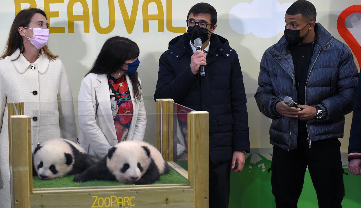 Mbappe mengaku sangat senang dan terhormat bisa menjadi bapak baptis Yuandudu dan Huanlili. Juara Piala Dunia 2018 itu menekankan pentingnya melindungi spesies panda yang terancam punah. (AFP/Guillaume Souvant)
