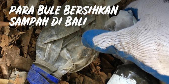 VIDEO: Bule di Bali Bersihkan Sampah