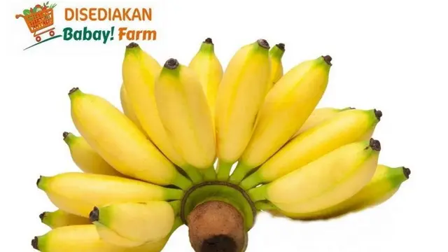 Pisang Uli (Foto: Blibli/Babay!Farm)