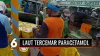 Penelitian dalam Jurnal Science Direct mengungkapkan bahwa perairan Teluk Jakarta terkontaminasi kandungan obat paracetamol tinggi di Muara Angke dan Ancol. Nelayan pun mengaku kerap melihat air laut berwarna merah kecoklatan serta banyak bangkai ika...