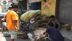 Omzet para pengepul kulit hewan kurban bisa melonjak hingga 10 kali lipat.