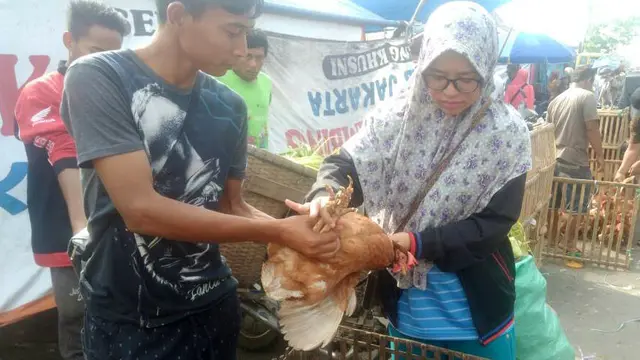 Muhamad Ulum