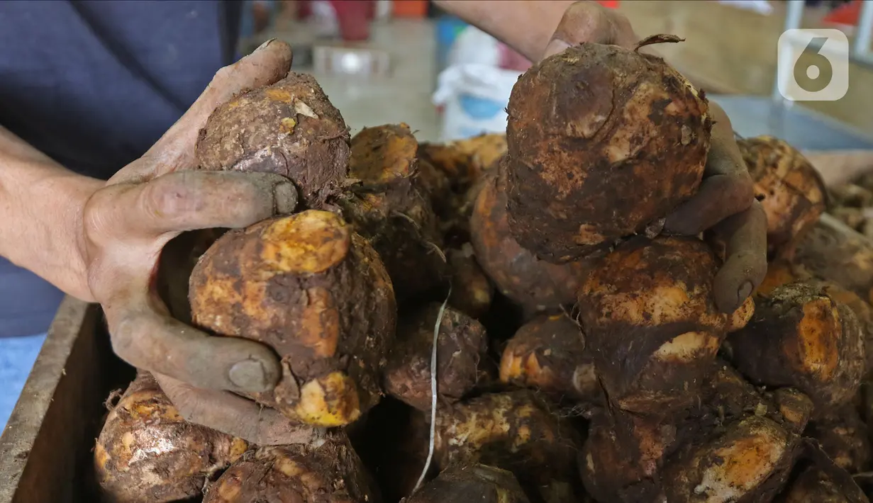 Pedagang menata temulawak dagangannya di Pasar Induk Kramat Jati, Jakarta, Kamis (5/3/2020). Harga temulawak yang awalnya Rp 10 ribu perkilogram saat ini dibanderol Rp 40 ribu karena dipercaya mampu menangkal penyebaran virus corona Covid-19 yang sudah masuk Indonesia. (Liputan6.com/Herman Zakharia)