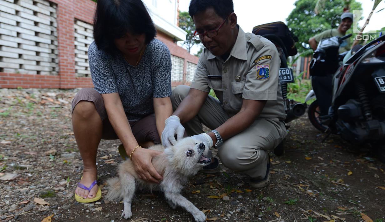 Gratis Vaksin Medan Kucing