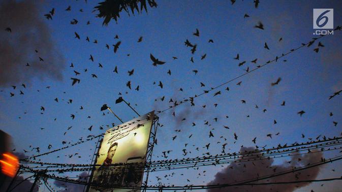 Foto Ribuan Burung Migrasi Penuhi Langit Kota Semarang Regional Liputan6 Com