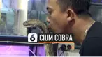 cium ular