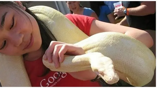 Foto copyright oddstuffmagazine.com