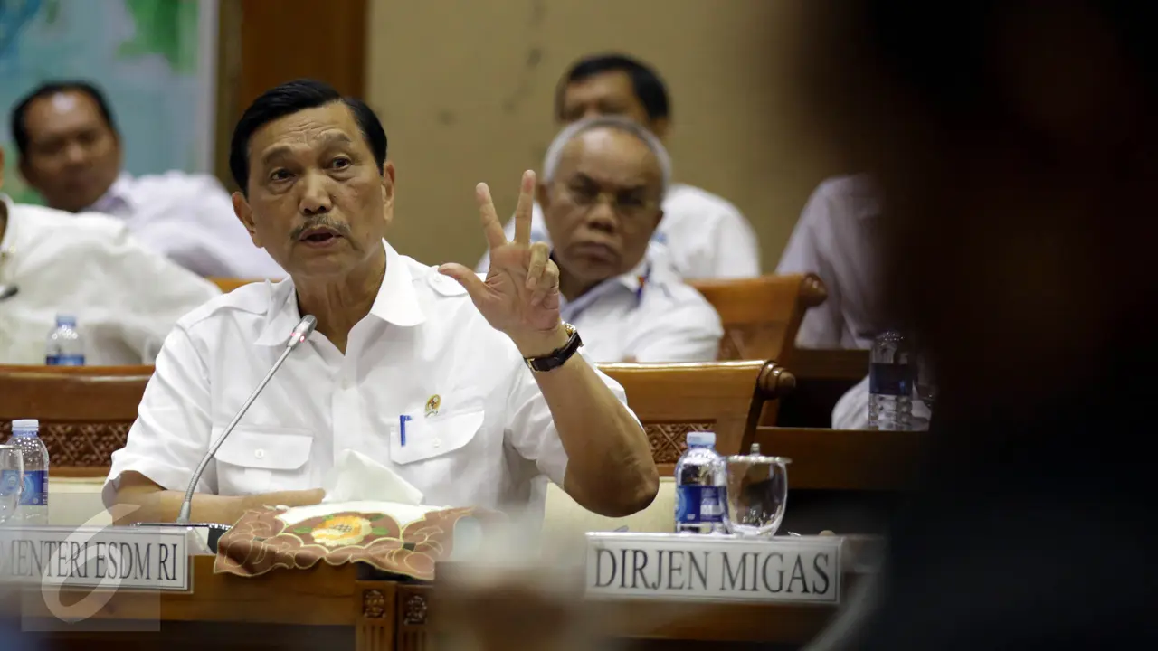 Menteri Koodinator Bidang Kemaritiman Luhut Binsar Pandjaitan
