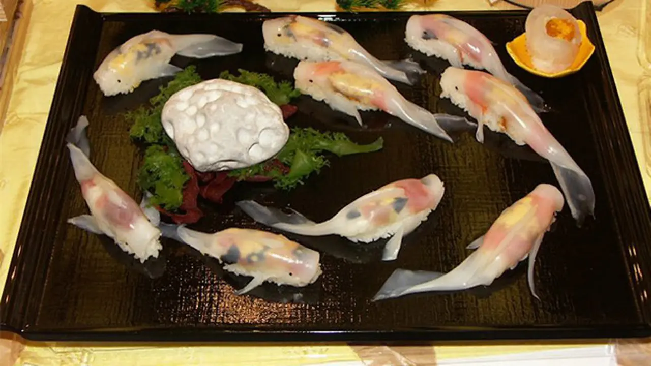 Sushi Koi, Kreasi Unik Bikin Ikan Bisa Berenang di Darat