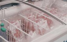 7 Cara Mudah Memilih Freezer untuk Bisnis Makanan, Panduan Praktis Pemula Buka Usaha