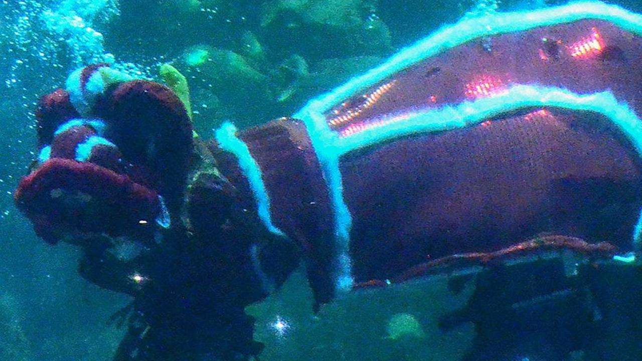 FOTO: Menyaksikan Atraksi Barongsai di Akuarium Sea World Ancol Jelang Perayaan Imlek