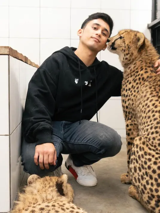 Bahagianya Alshad Ahmad mendapat kecupan dari binatang Cheetah, sampai baper. Gimana tidak, sejak lama ia menginginkan binatang buas ini berada di rumahnya. (Foto: Instagram/@alshadahmad)