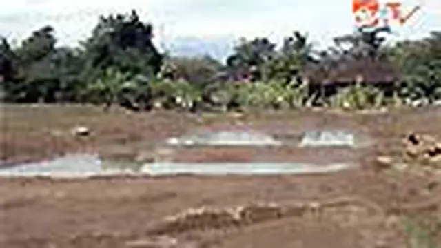 Puluhan hektare ladang tembakau di empat desa di Temanggung, rusak disapu banjir bandang. Para petaniharus menggarap kembali ladang mereka dari awal. 