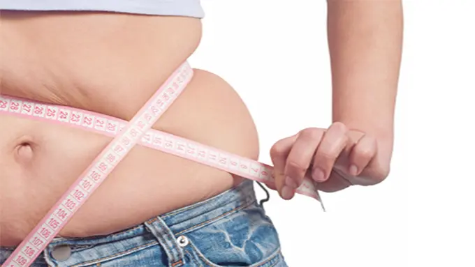 copyright by shutterstock.com